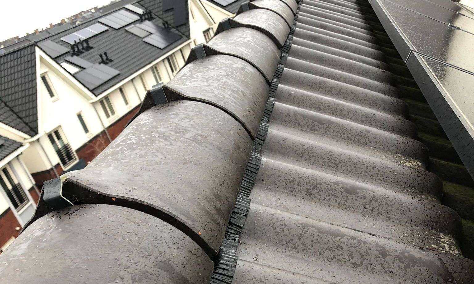 Nieuwe nokvorsten geplaatst in 0411